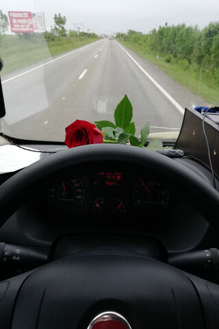 Journey with a Rose 🌹
