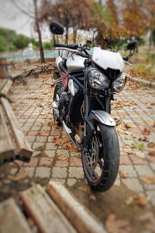 Triumph of the Open Road 🏍️✨