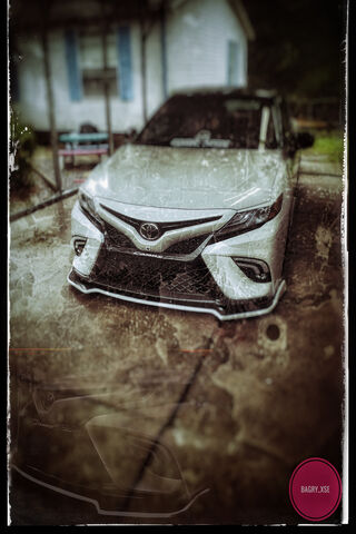 Sleek and Stylish: The Toyota Camry