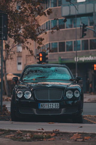 Elegance on Wheels: The Bentley Experience 🚗✨