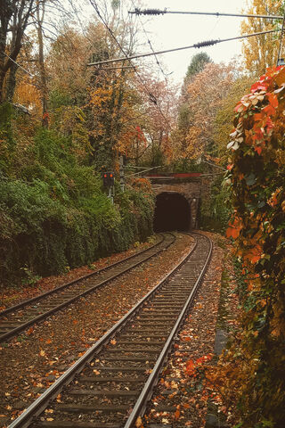 Autumn's Arrival at the Train Station 🍂🚉