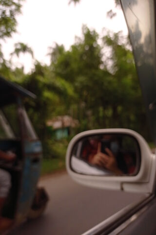 Journey Through the Green