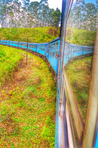 Journey Through Lush Landscapes 🚂🌿