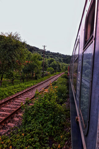Journey Through Nature: The Train Adventure 🚂🌿