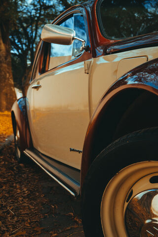 Vochito Vintage: A Timeless Classic 🚗✨