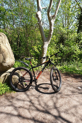 Ride the Wild: Voodoo Mambo MTB Adventure 🚵 🌲