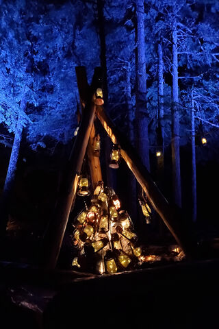 Enchanted Glow of Vintage Rose 🌹✨