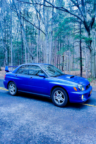 Unleashing the WRX: A Rally Legend in Nature 🌲🏎️