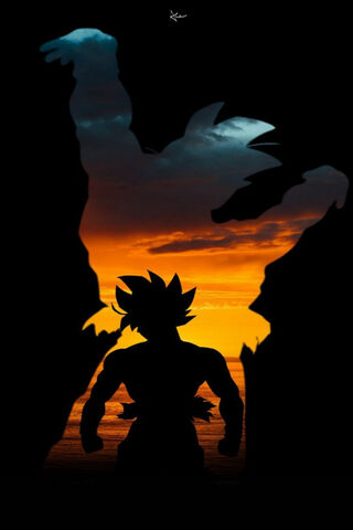 Goku's Epic Sunset Tran..