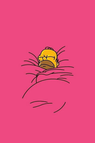 Homer's Cozy Nap Time 💤