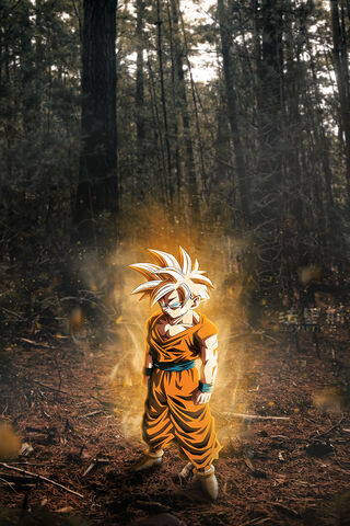 Son Gohan