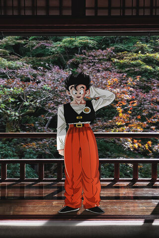 Son Gohan