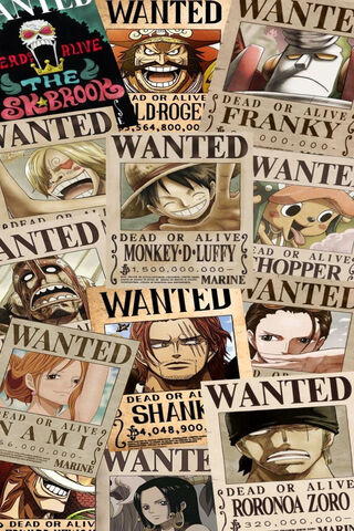 Bounty Hunters Unite!  ☠️💰