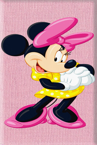 Minnie Mouse 16