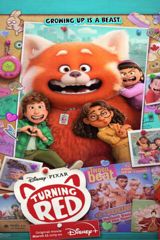 Embracing Change: The Journey of Growing Up 🐼✨