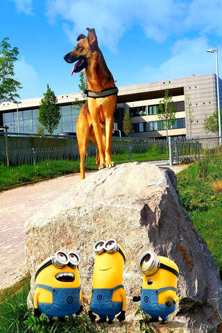 Adventures of Chien Mignon and the Minions! 🐶✨