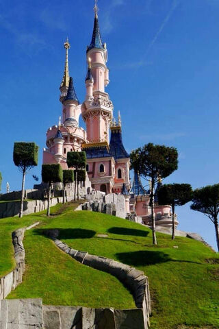 Enchanted Dreams: The Magic of Disney Castle 🏰✨