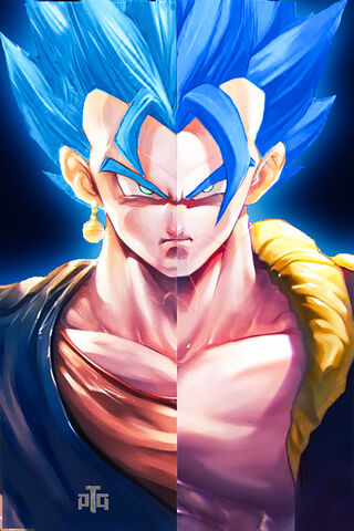 Gogeta And Vegito Re