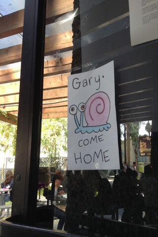 Gary the Snail's Heartfelt Call 🐌❤️