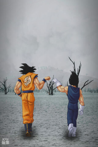 Brothers in Battle: Gok..