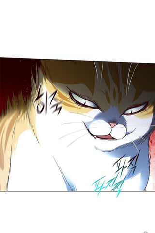 The Mysterious Feline of Eleceed 🐾✨