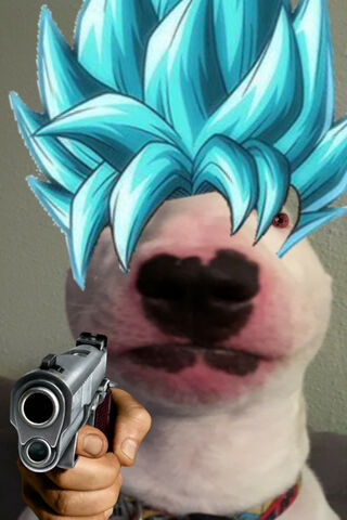 Walter Goku: The Ultimate Pup Warrior! 🐶⚔️