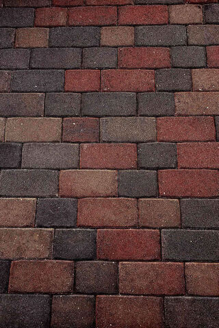 Colorful Pathways: The Art of Bricks