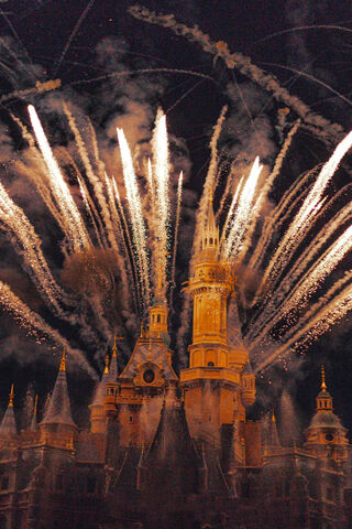Magical Night at Disneyland ✨🎆