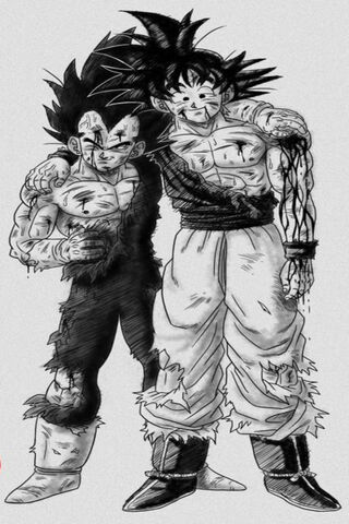 Warriors of Resilience:..
