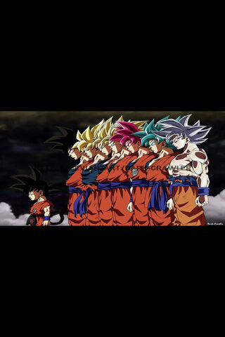 Goku S Evolution