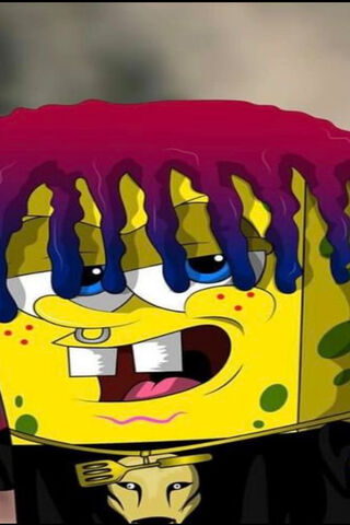 Lil Sponge