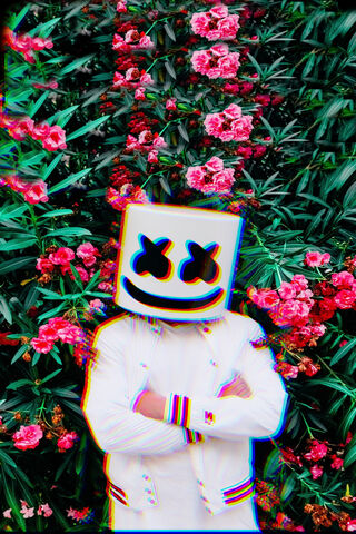 Marchmello in Bloom 🌸