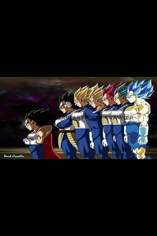 Vegeta S Evolution