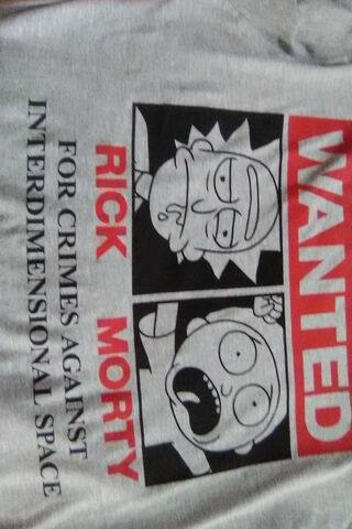 Interdimensional Outlaws: Rick and Morty on the Run! 🚀