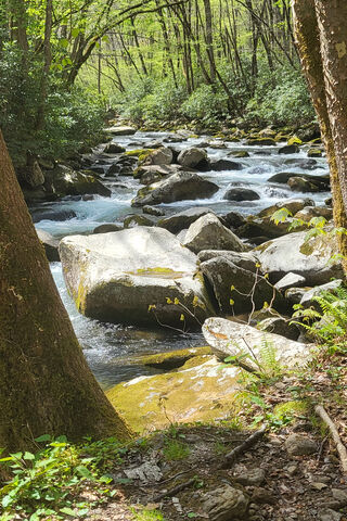 Serenity at Mouse Creek Falls 🌊🍃