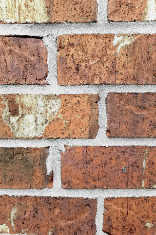 Timeless Texture: The Beauty of Bricks 🧱✨