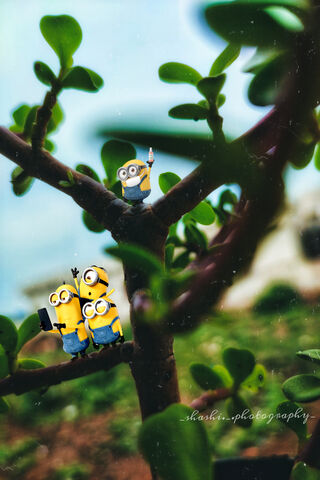 Minions' Tree Adventure 🌳🎉
