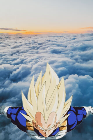 Vegeta Soars: The Prince of All Saiyans