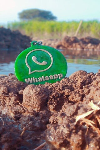 Whatsapp Pic