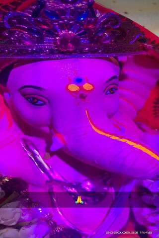 Divine Celebration: Bappa's Blessings 🎉🙏