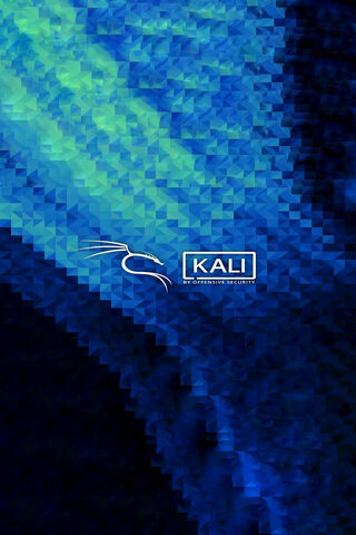 Kali Linux