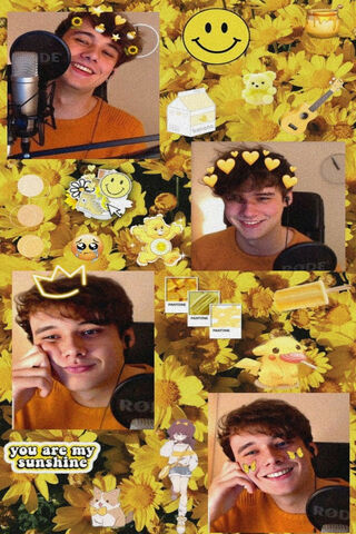 Sunshine Vibes with Wilbur Soot ☀️🌻