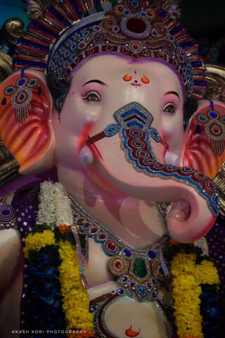 Divine Blessings of Ganpati Bappa 🌺🙏