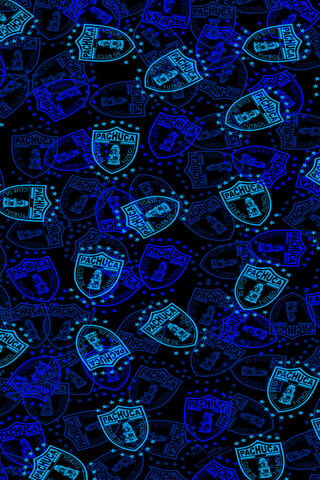 Tuzos Vibes: A Celebration of Pachuca