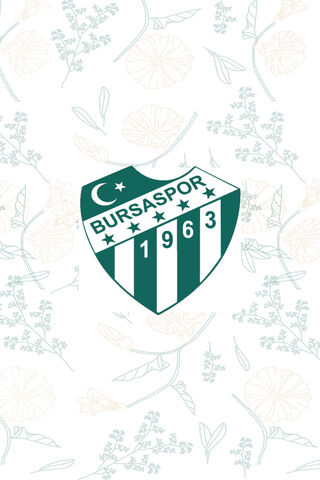Bursaspor: The Heart of Turkish Football ⚽️💚