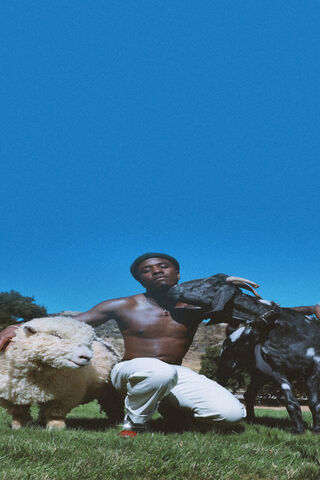 Nature's Companions: A Unique Bond 🌿🐑🐐