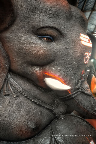 Divine Details: The Essence of Ganesh