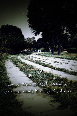 Whispers of the Heart: A Journey Through Urdu Poetry 🌿✨