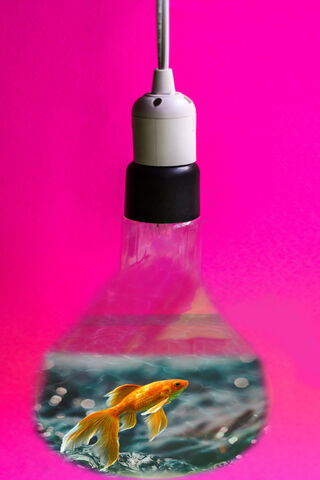 Illuminating Dreams: A Splash of Inspiration