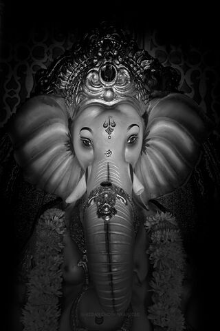 Divine Presence: The Essence of Lord Ganesh 🐘✨